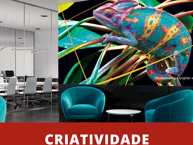 Criatividade sem limites