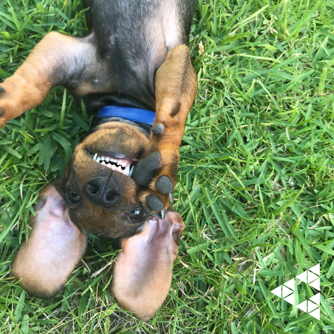 Dia internacional do Amigo