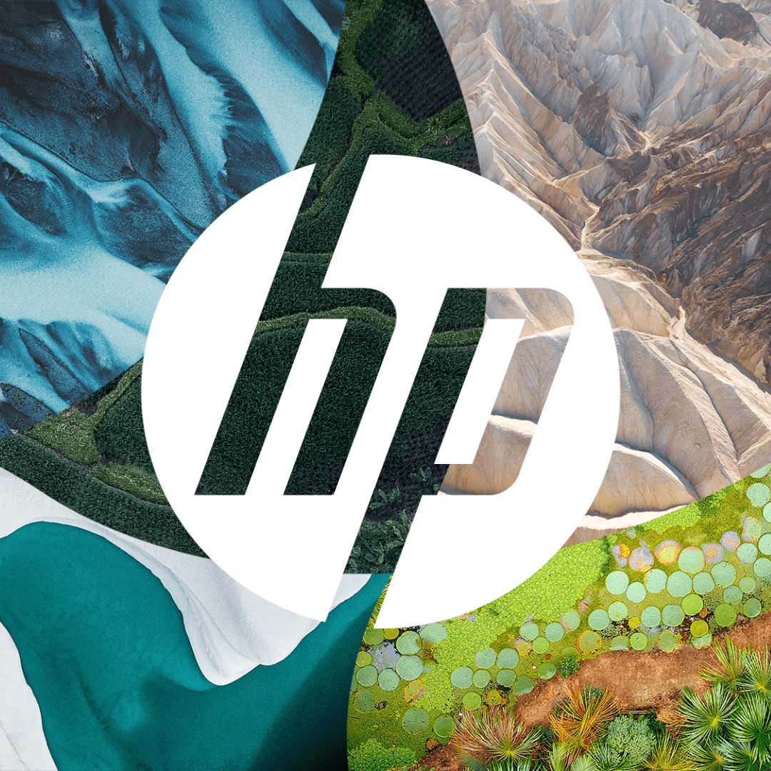 A HP vai além da plantação de árvores