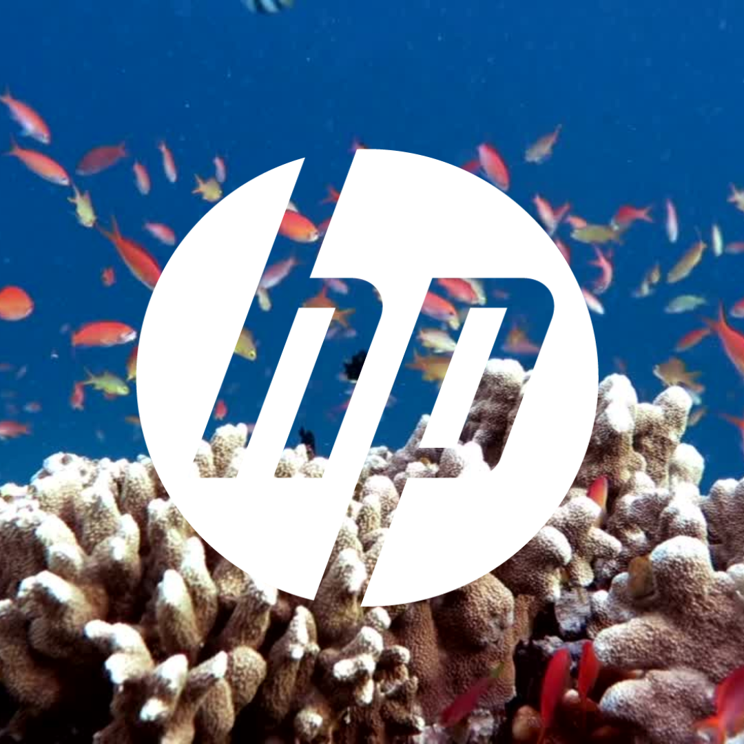 Dia Mundial do Ambiente