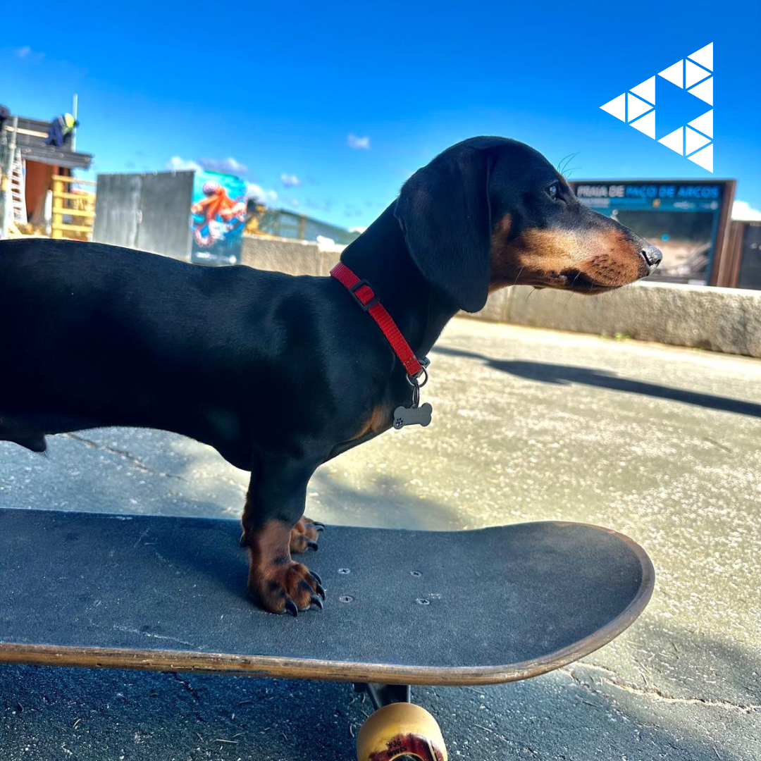 Dia Internacional do Amigo