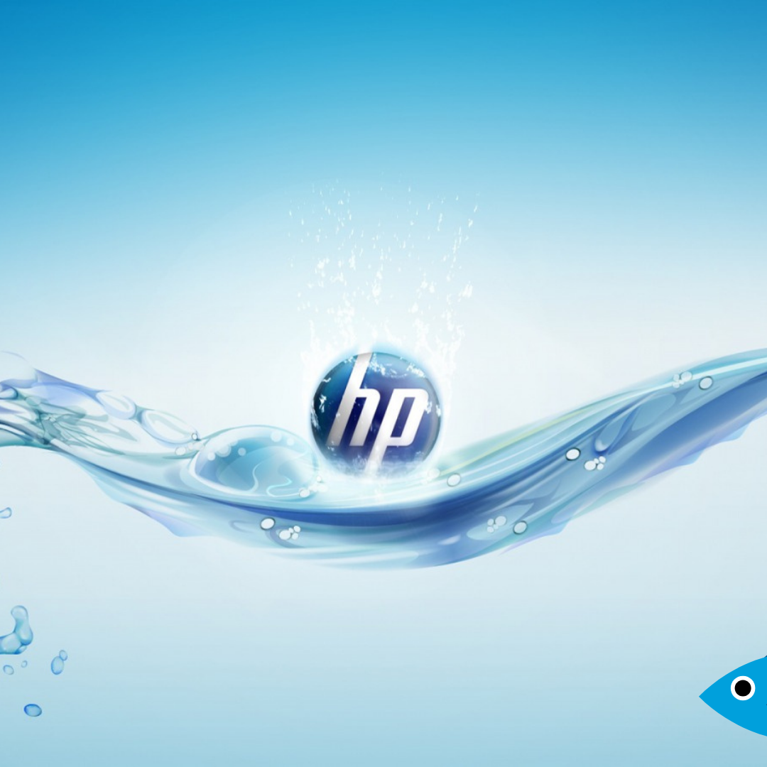 Dia Nacional da Água