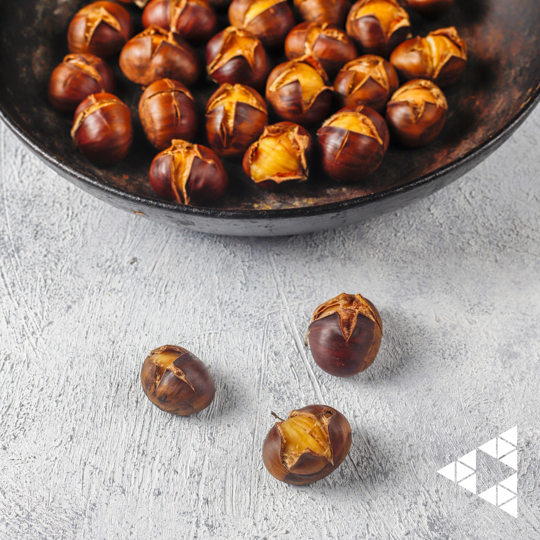 Dia de São Martinho