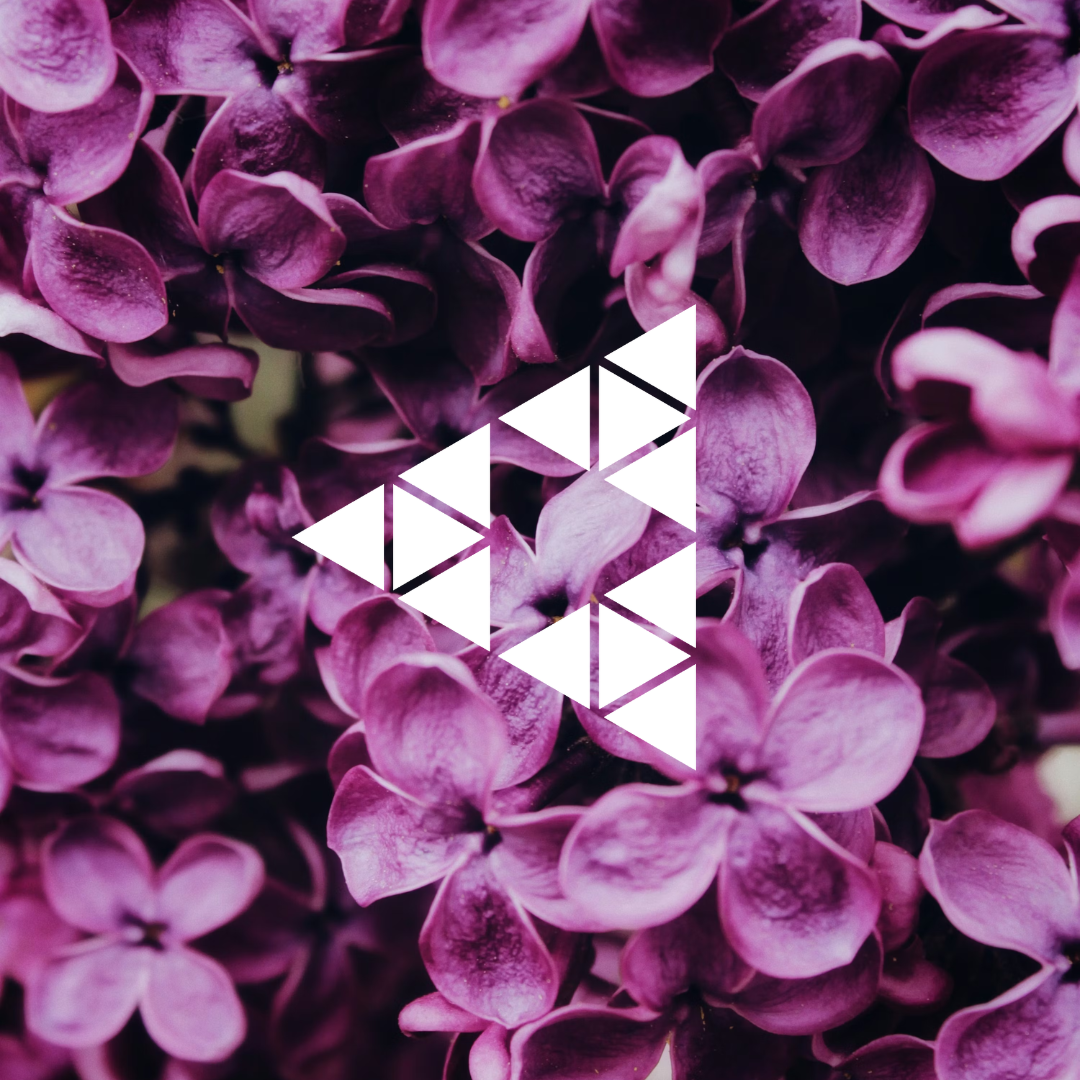 Dia internacional da mulher