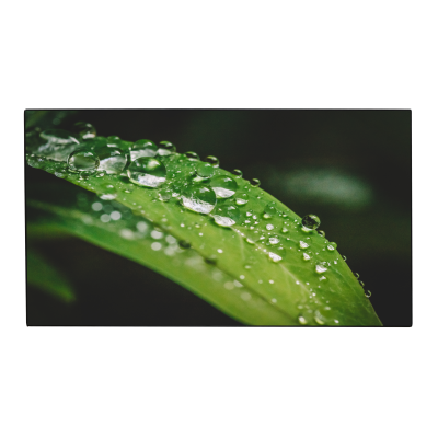 1009507805189_crop_thumb.png